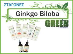 ΣΤΑΓΟΝΕΣ GINKO BILOBA